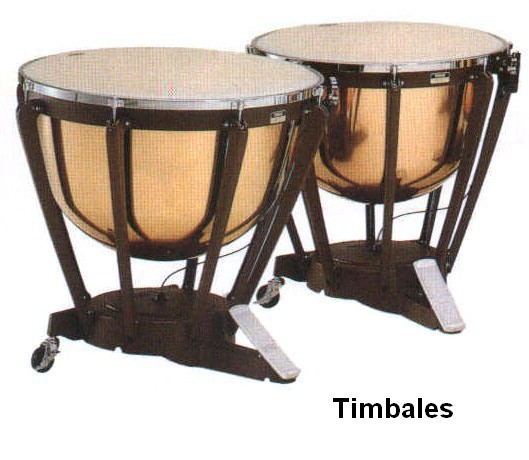 106_timbales